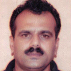 Kamal